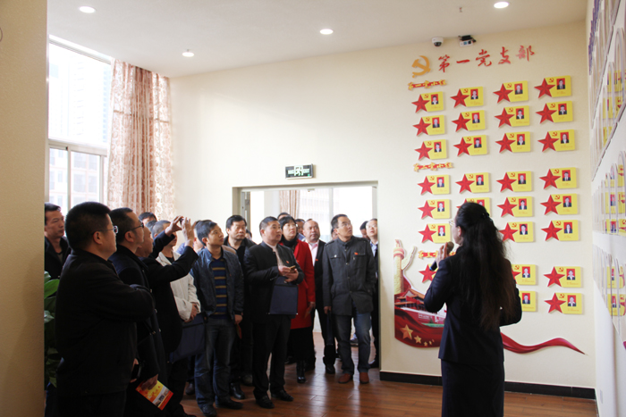 曲靖市中小学党建工作现场推进会领导到我校观摩